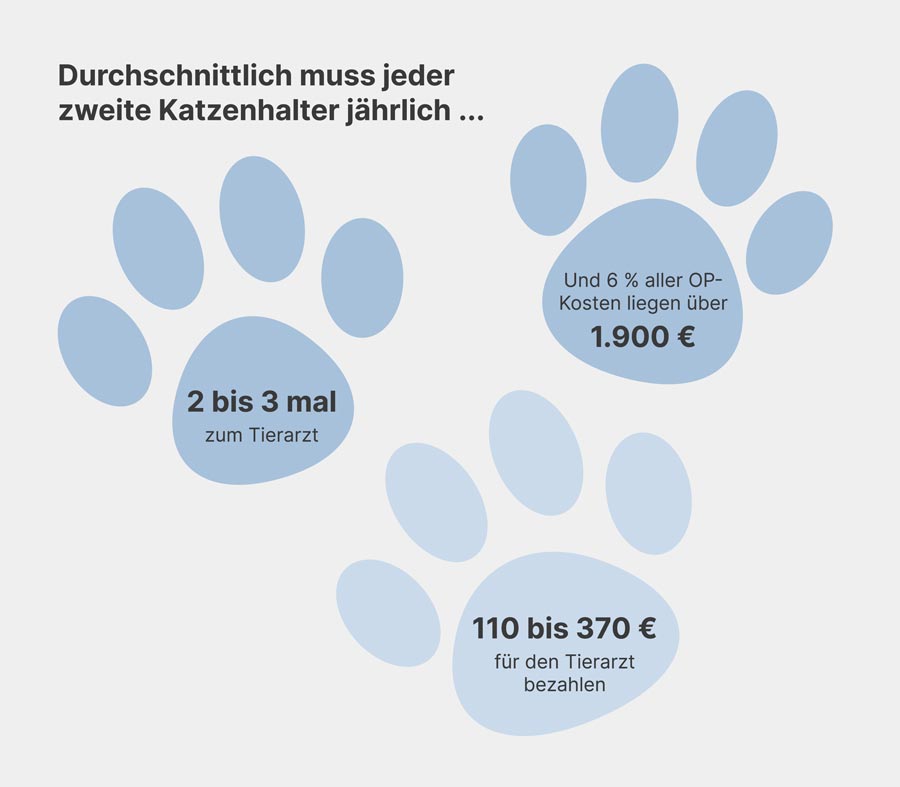Katzenkrankenversicherung – Leistungen